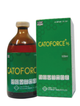 Picture of Calcium Supplement 1