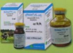 Anthelmintics 11