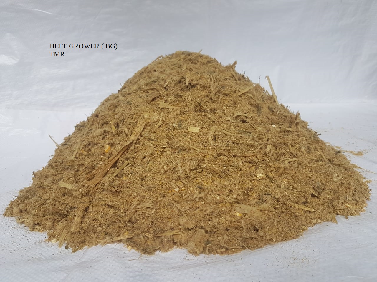 Picture of TMR 5