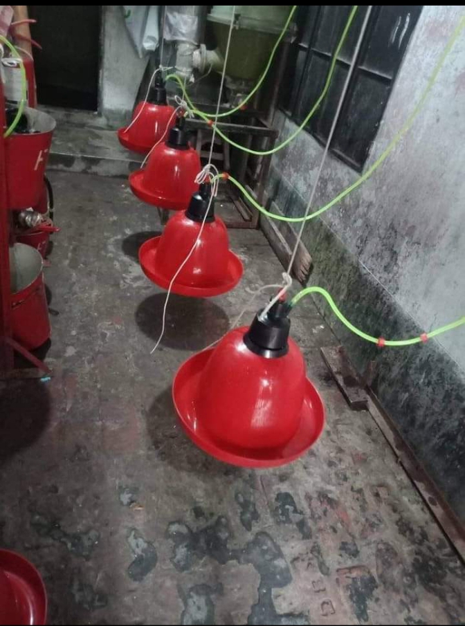 Picture of Feeders & Drinkers 4