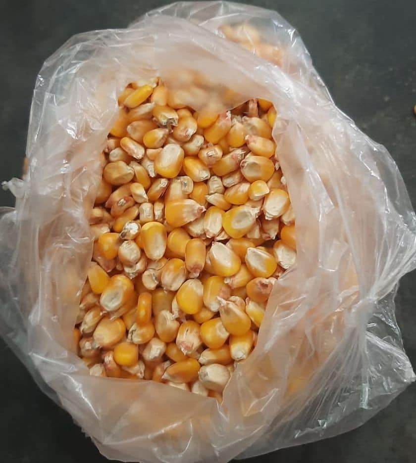 Picture of Corn 3