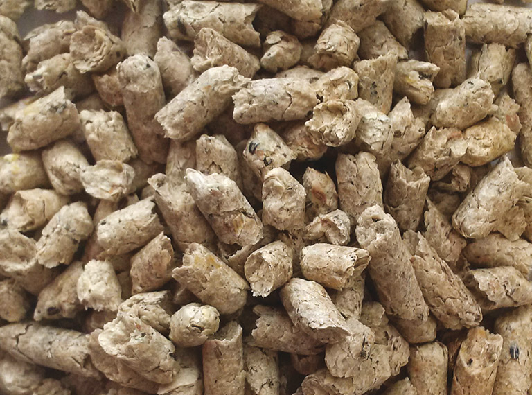 Picture of Soybean Crushed 1