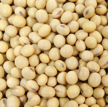 Picture of Full Fat Soya 2