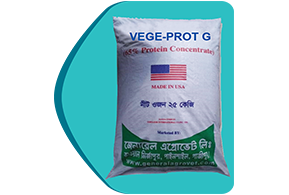 Picture of Vitamins & Minerals 31