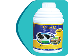 Picture of Vitamins & Minerals 32
