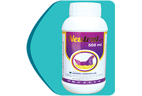 Picture of Digestive Stimulant 2