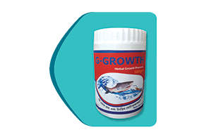 Picture of Growth Promoter 6