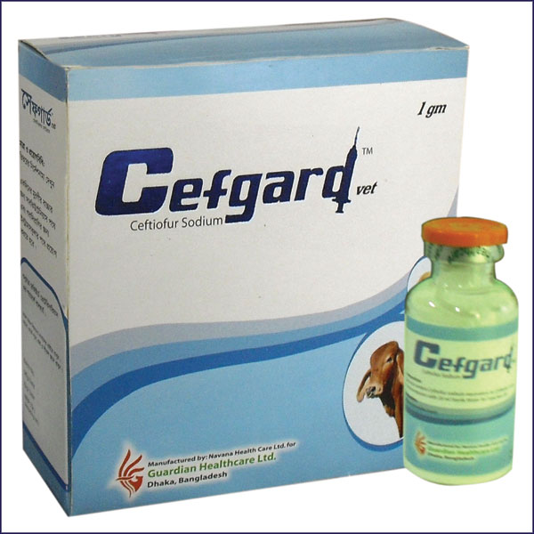Picture of Antibiotics 20