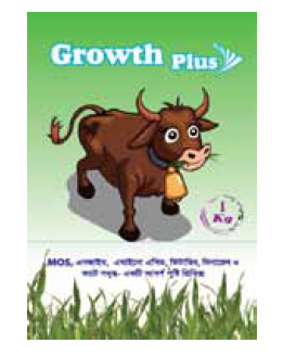 Picture of Vitamins & Minerals 34