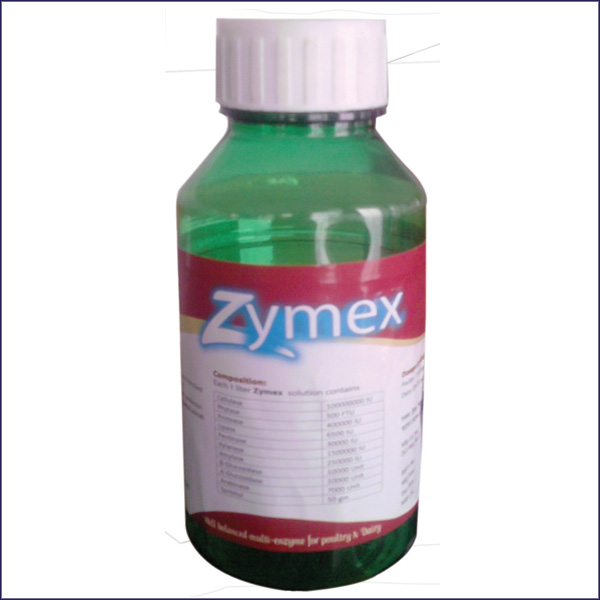 Picture of Enzyme 13