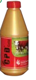 Picture of Calcium Supplement 12