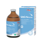 Antibiotics 13
