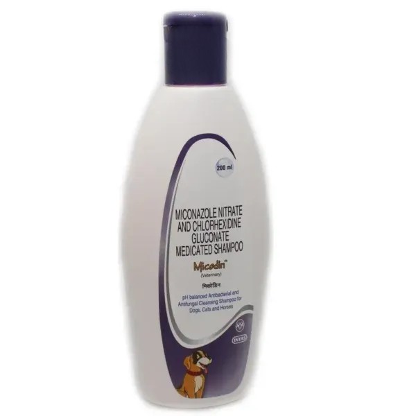 Picture of Cat Grooming 4