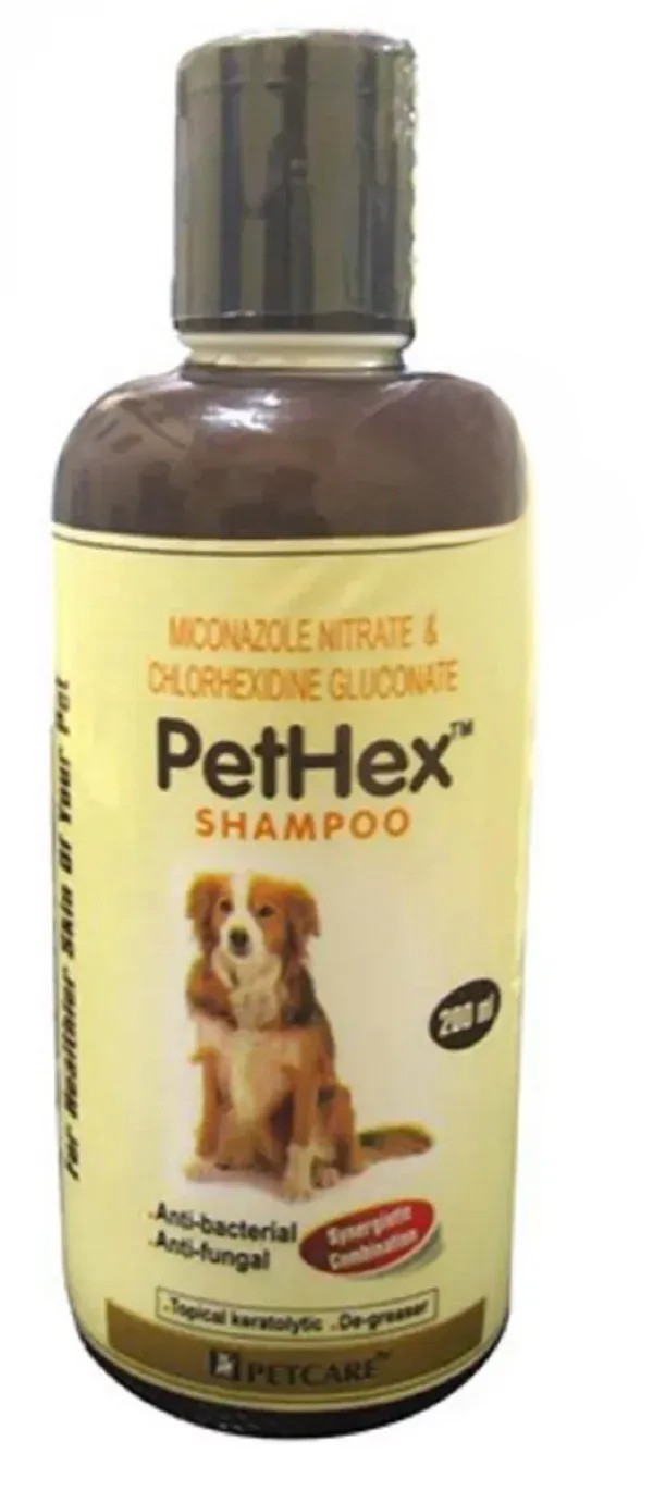 Picture of Cat Grooming 5