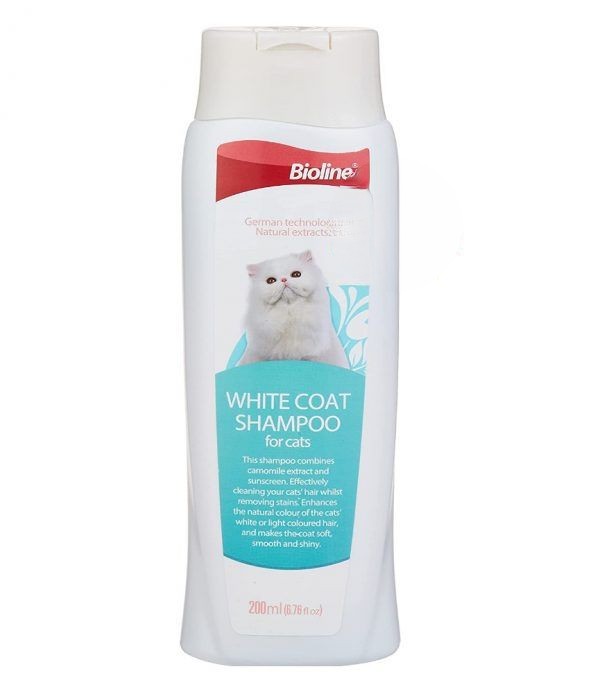 Picture of Cat Grooming 7