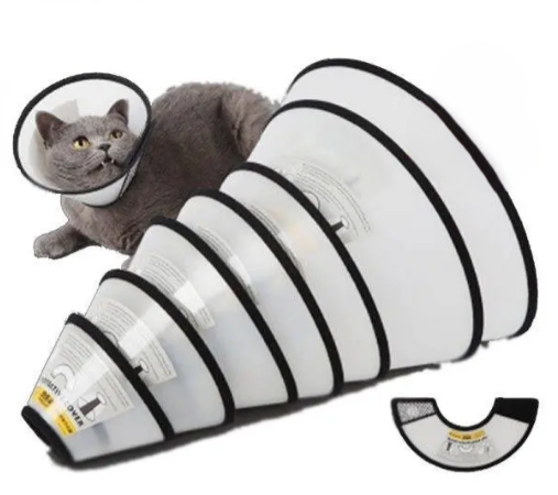 Picture of Cat Carriers, Furnitures, Feeders & Accessories 23