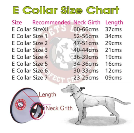 Picture of Cat Carriers, Furnitures, Feeders & Accessories 23