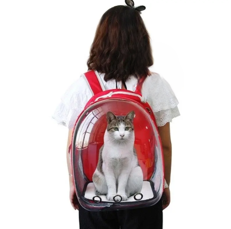 Picture of Cat Carriers, Furnitures, Feeders & Accessories 24