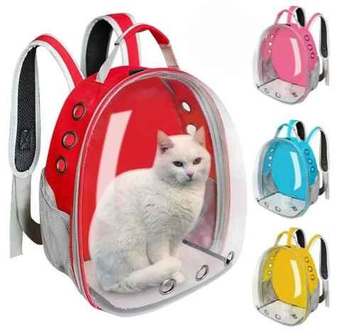 Picture of Cat Carriers, Furnitures, Feeders & Accessories 24