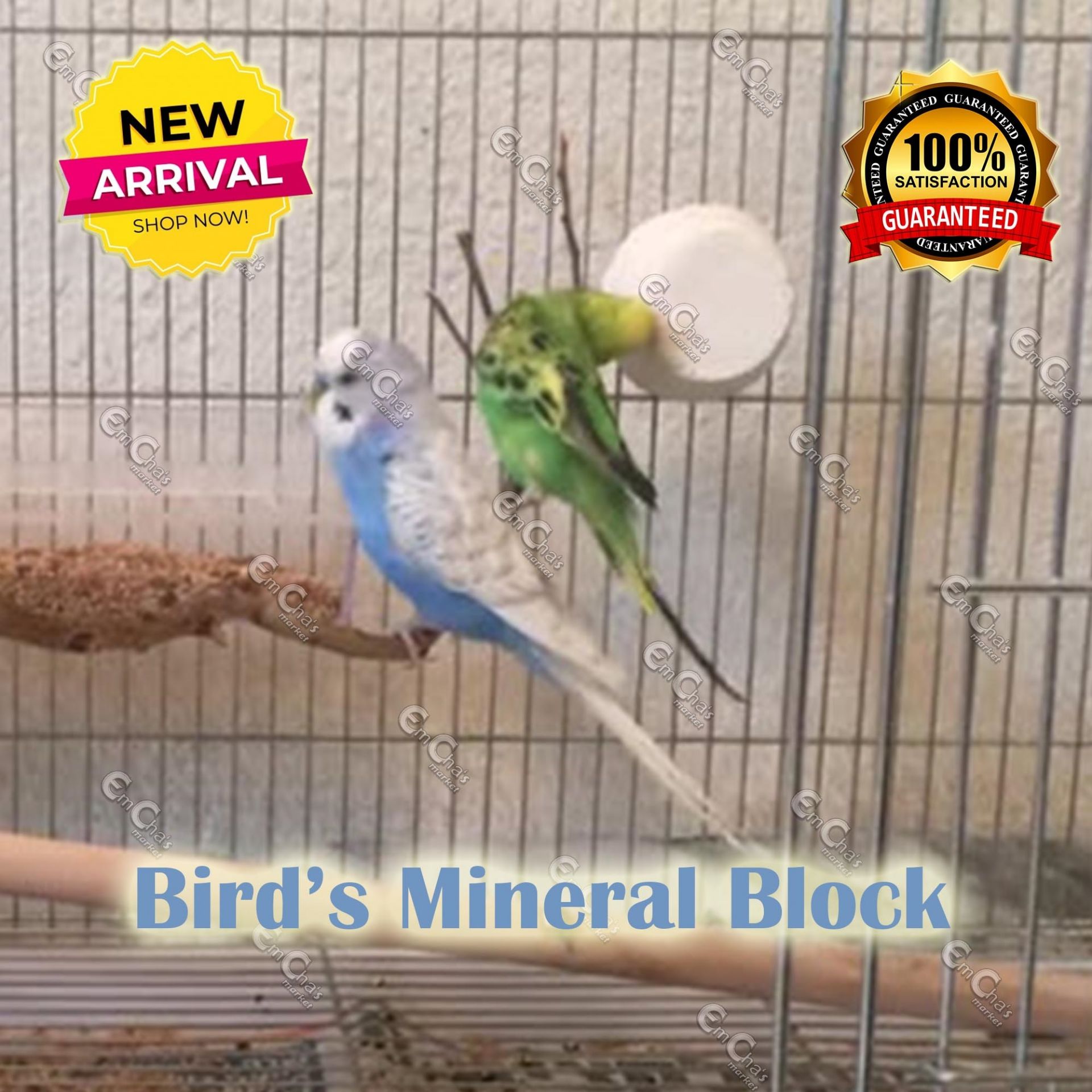 Picture of Bird Foods 9