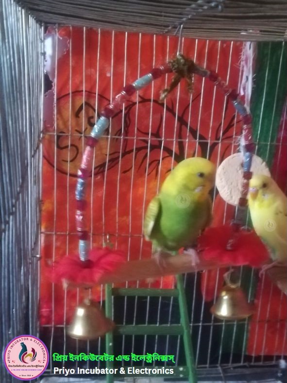 Picture of Bird Cages & Aviary accessories 4