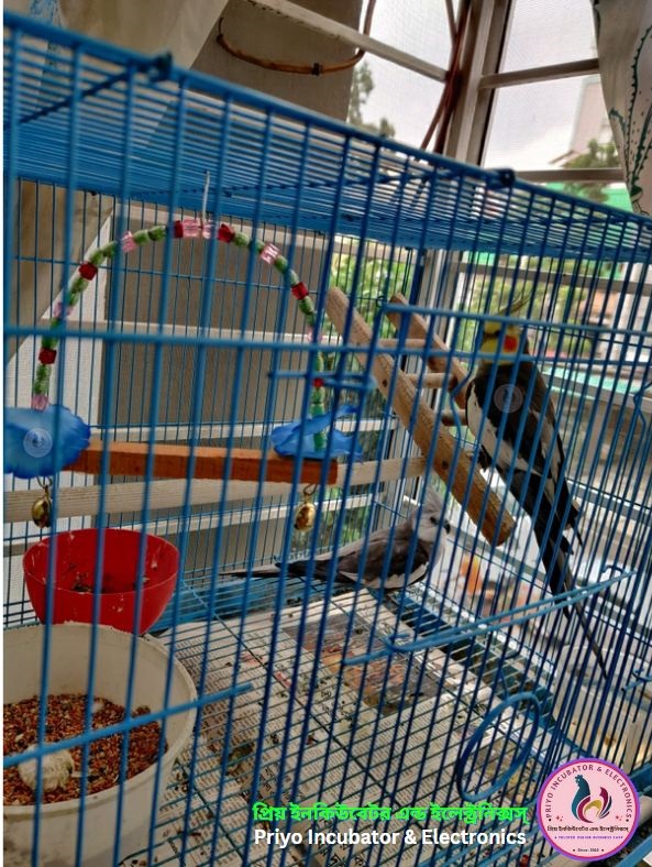Picture of Bird Cages & Aviary accessories 4