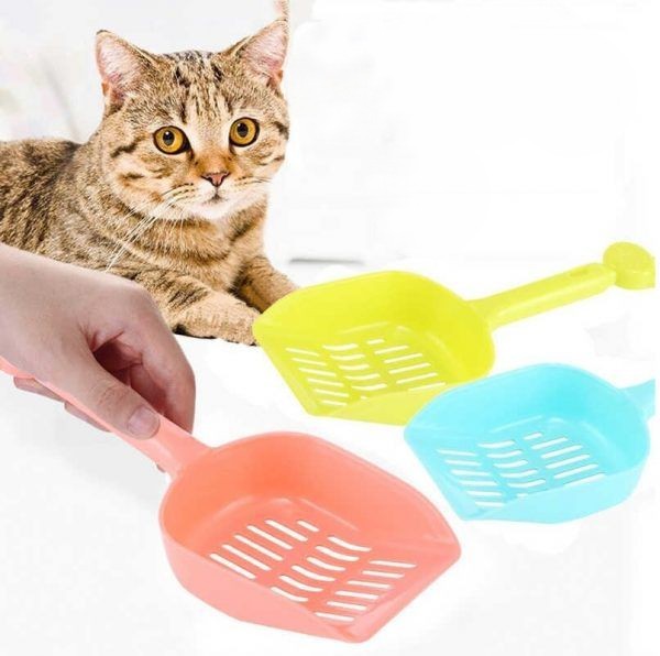 Picture of Cat Carriers, Furnitures, Feeders & Accessories 26