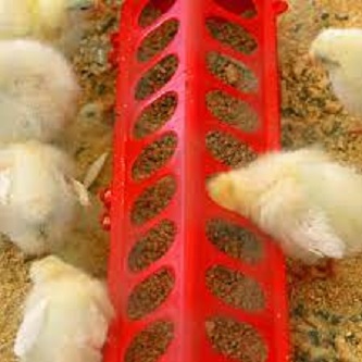 Picture of Feeders & Drinkers 15