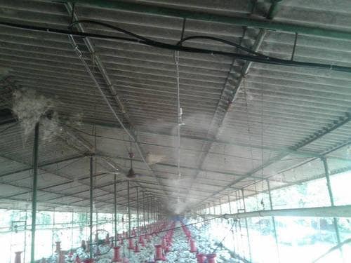 Picture of Shed Infrastructure development 1