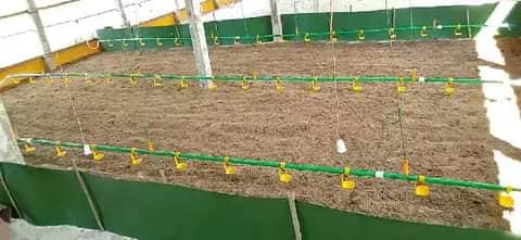 Picture of Feeders & Drinkers 16
