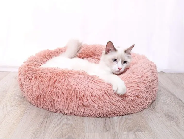 Picture of Cat Carriers, Furnitures, Feeders & Accessories 38