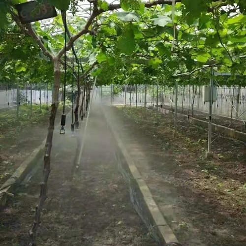 Picture of Sprinkler 21