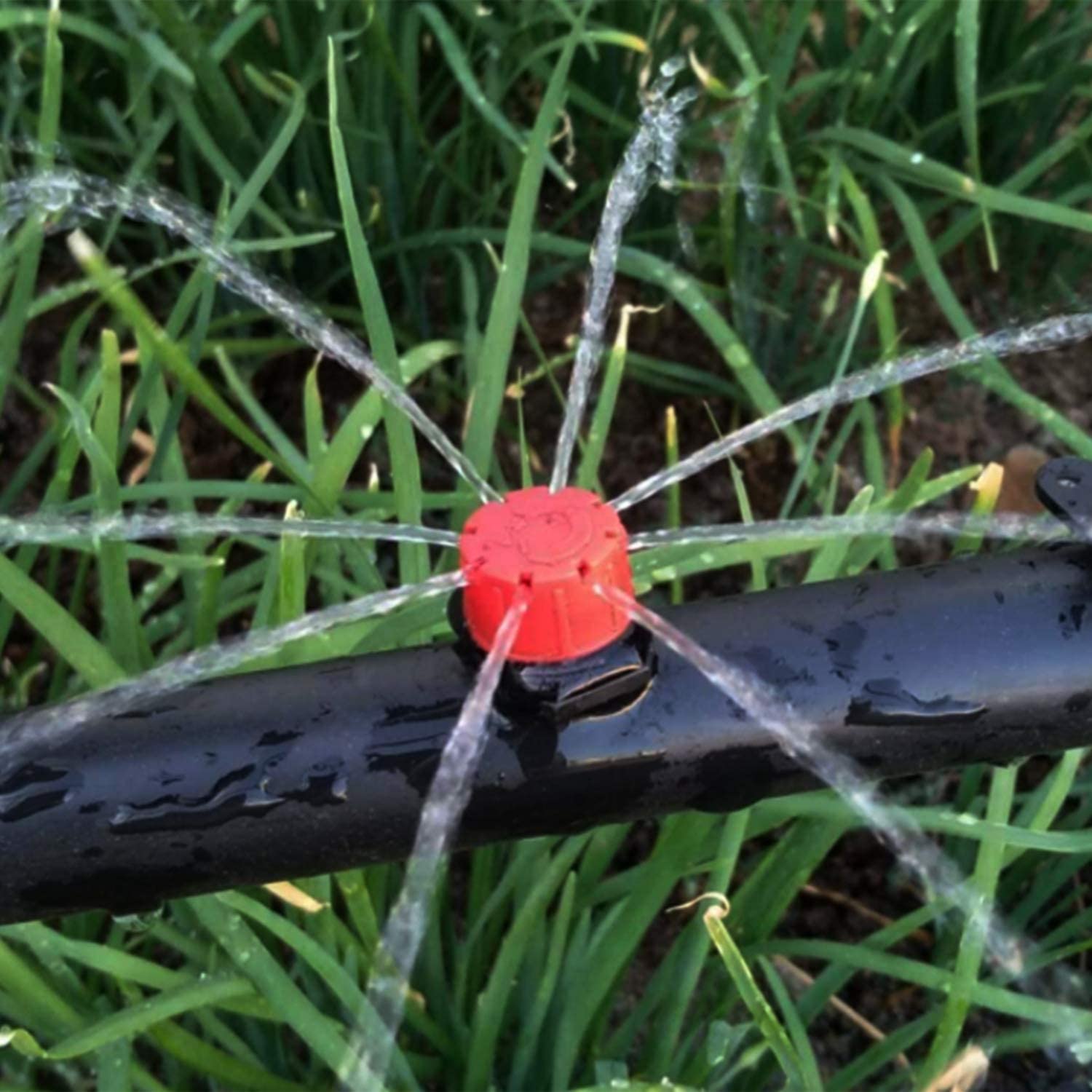 Picture of Drip Irrigation 1