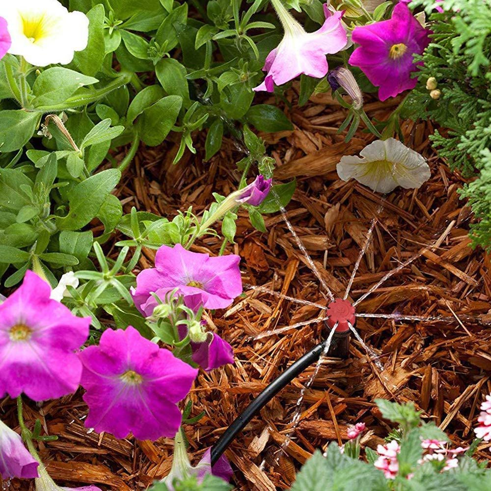 Picture of Drip Irrigation 2