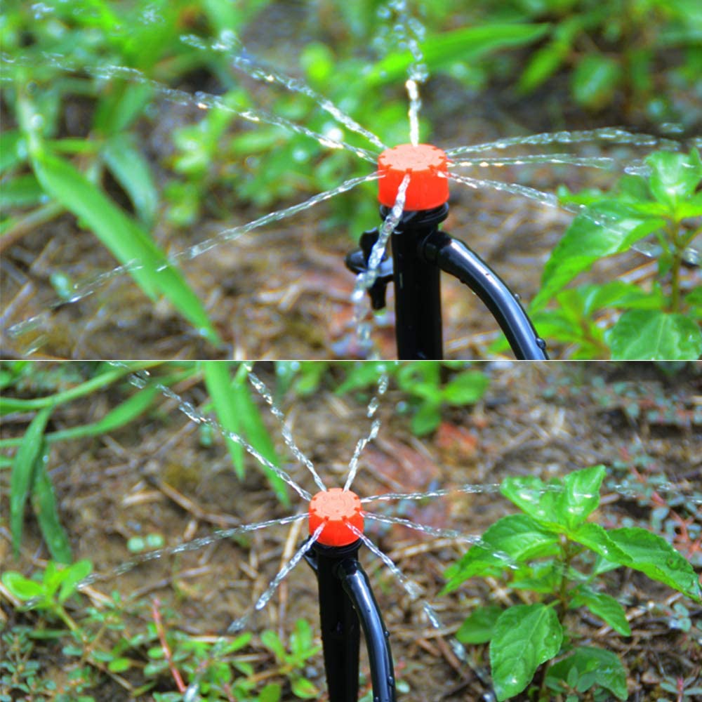 Picture of Drip Irrigation 2