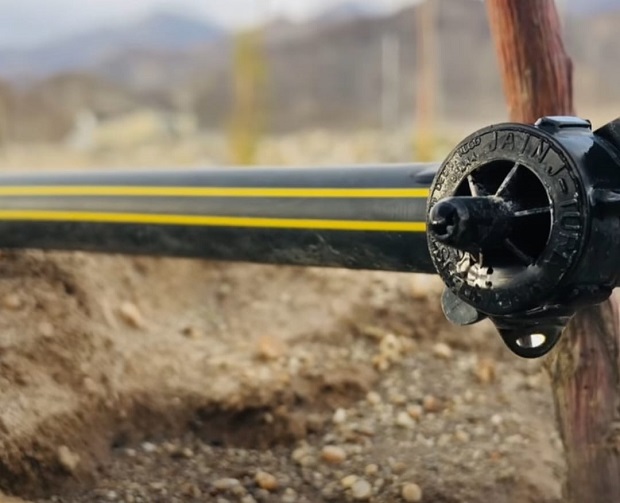 Picture of Drip Irrigation 3