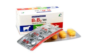 Picture of Nutritional Suppliment 123