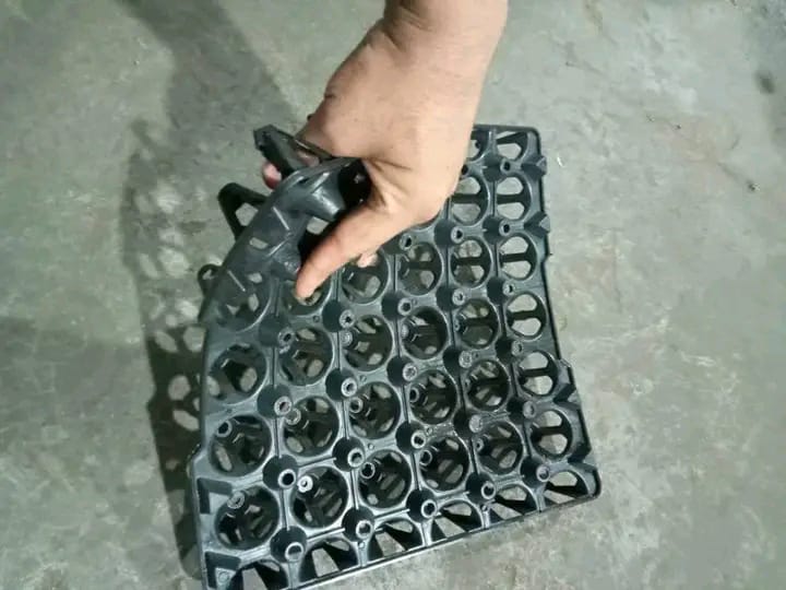 Picture of Chicken Egg Crates 2