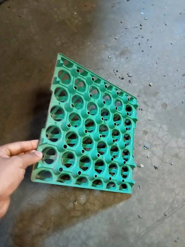 Picture of Chicken Egg Crates 5