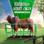 Digital Weight Scale ( 2 ton Capacity) [Dummy Product for Testing]