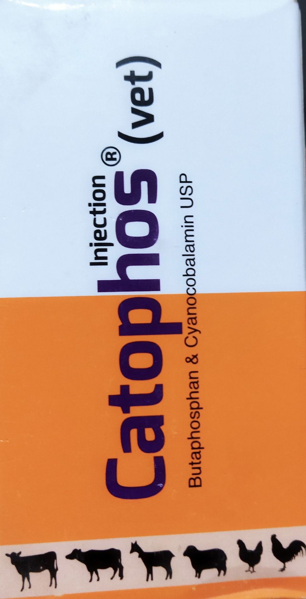 Picture of Immune Enhancers 25