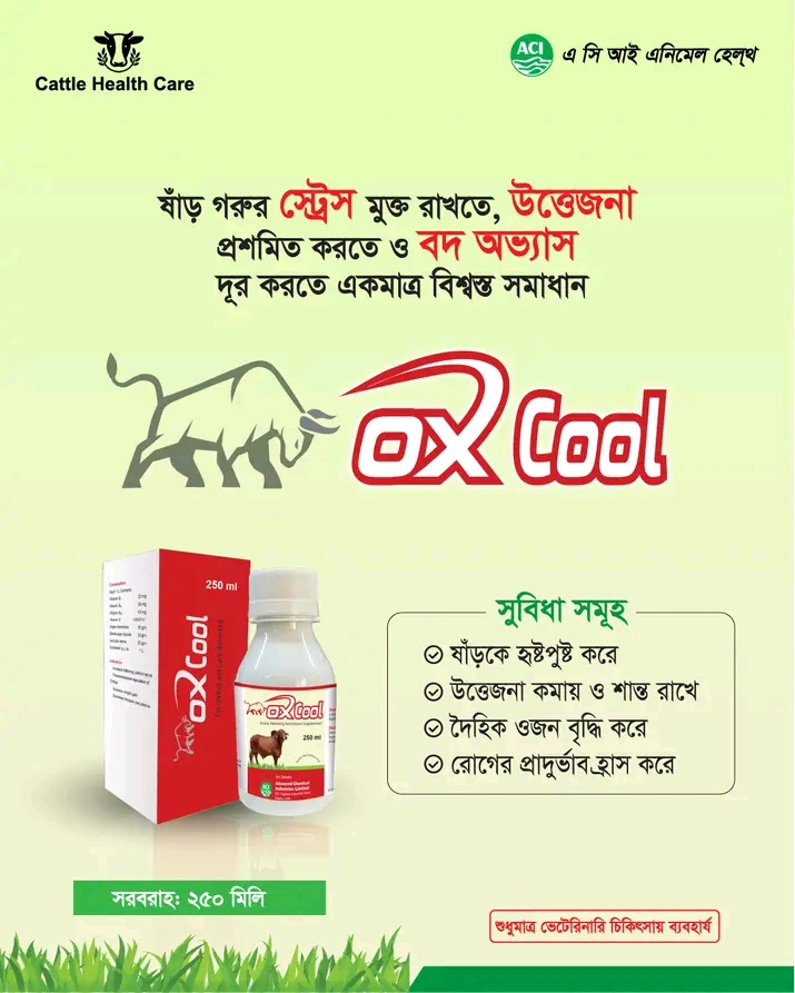 Picture of Antibacterials 12