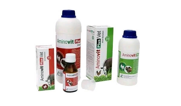 Picture of Immune Enhancers 27