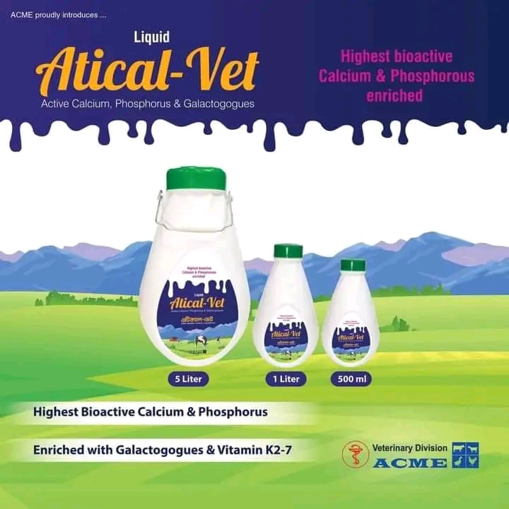 Picture of Calcium Supplement 36