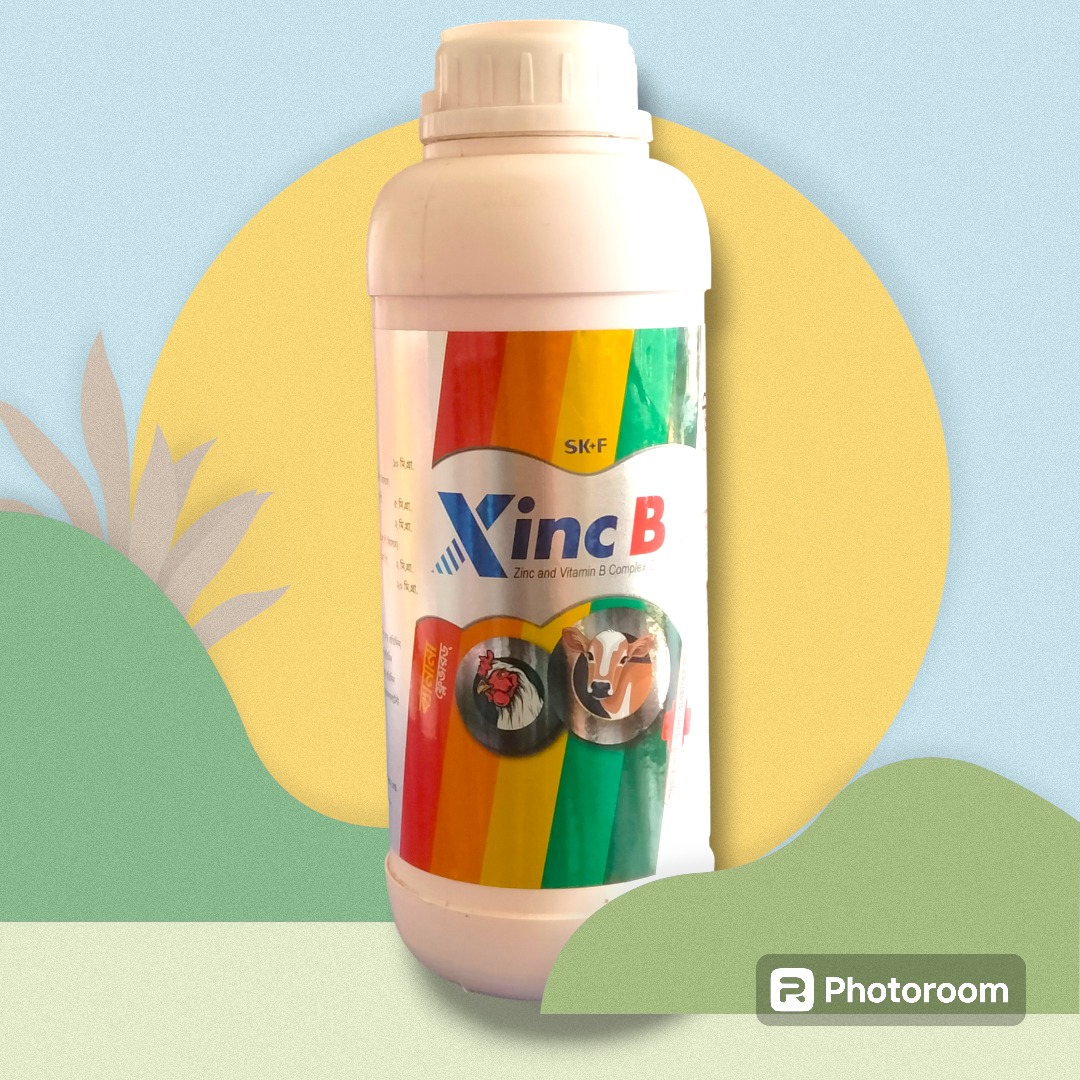 Picture of Immune Enhancers 33