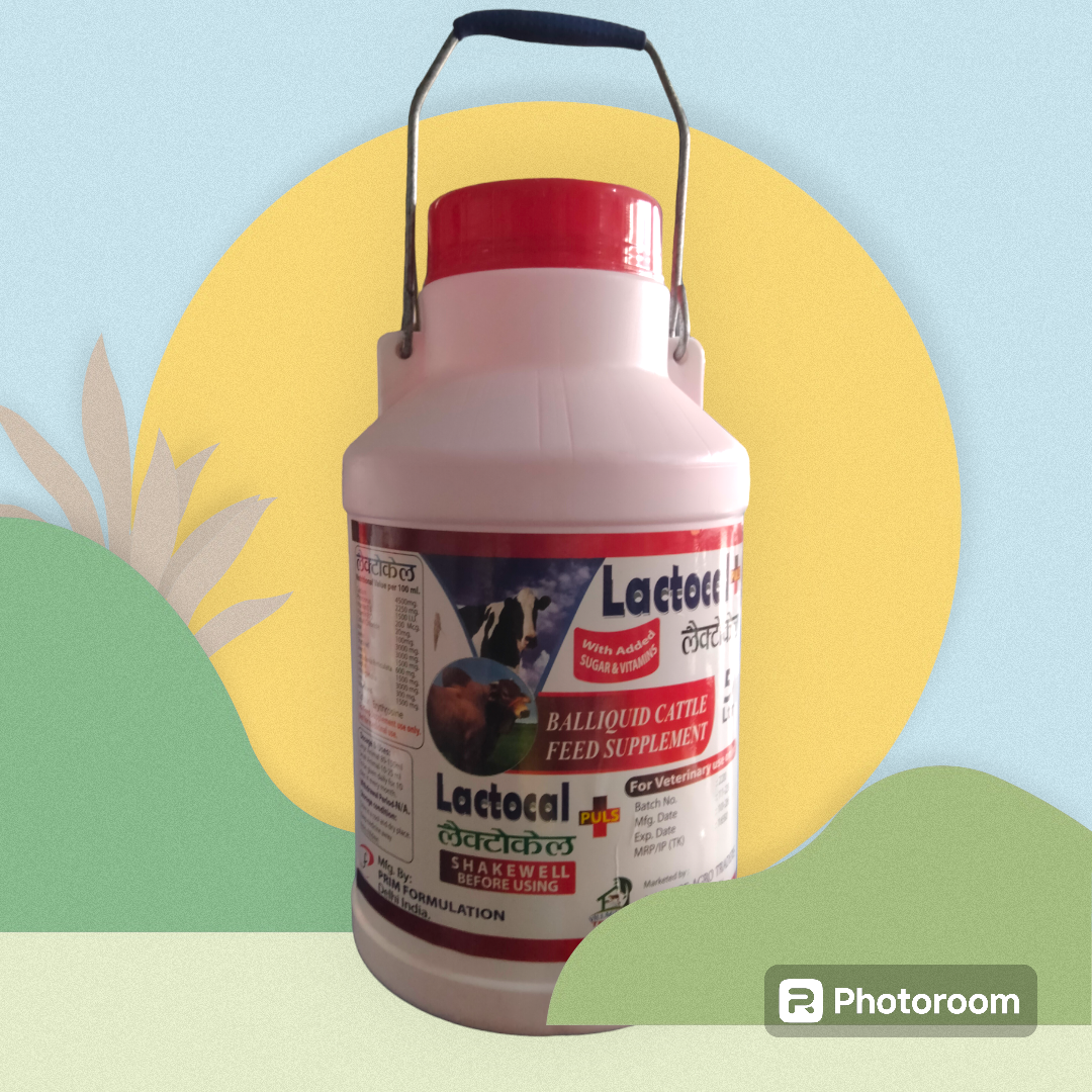 Picture of Vitamins & Minerals 72