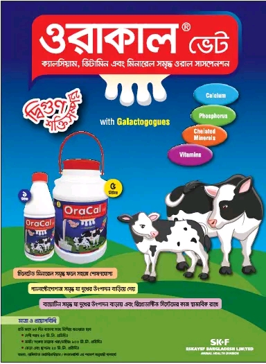 Picture of Calcium Supplement 40