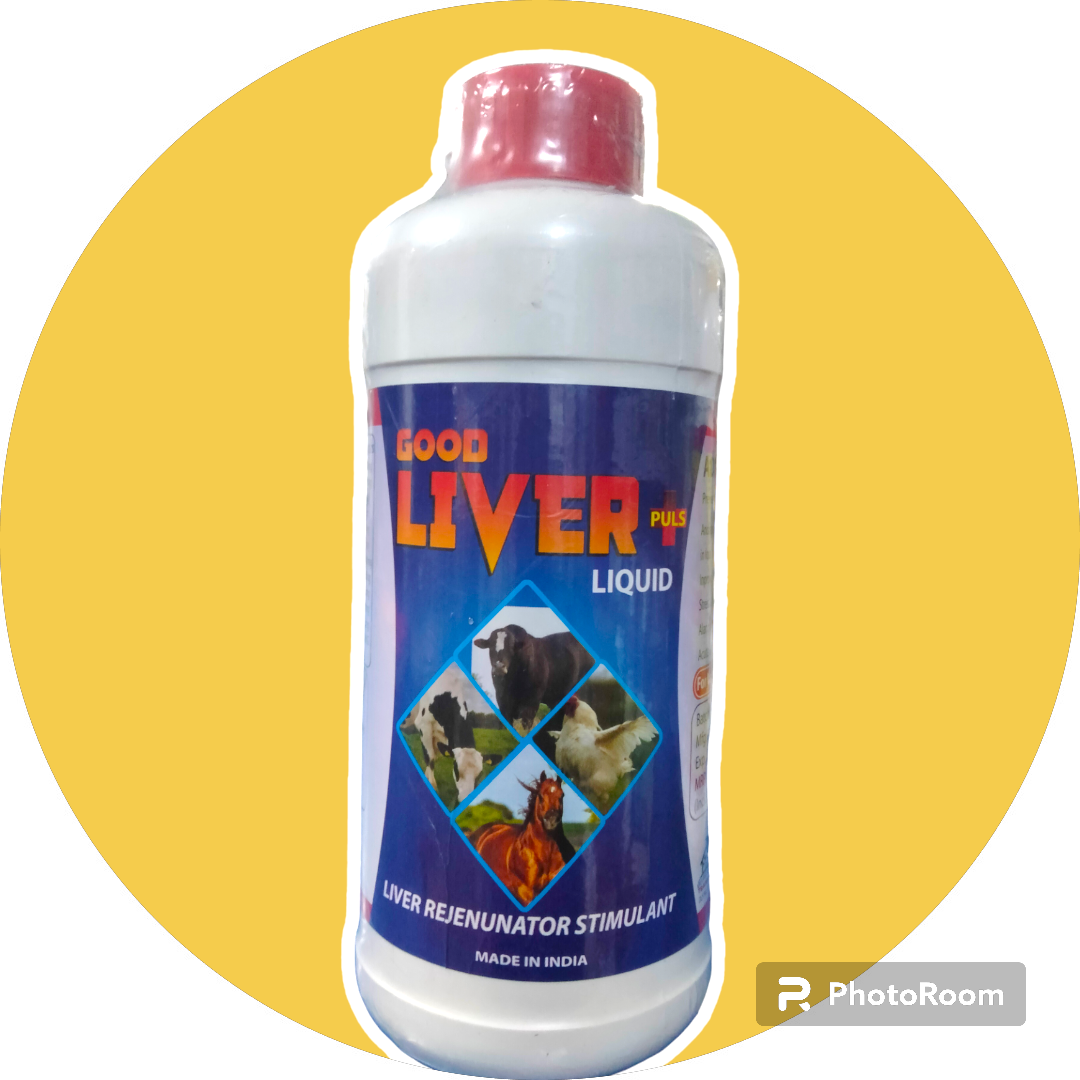 Picture of Livertonic 33