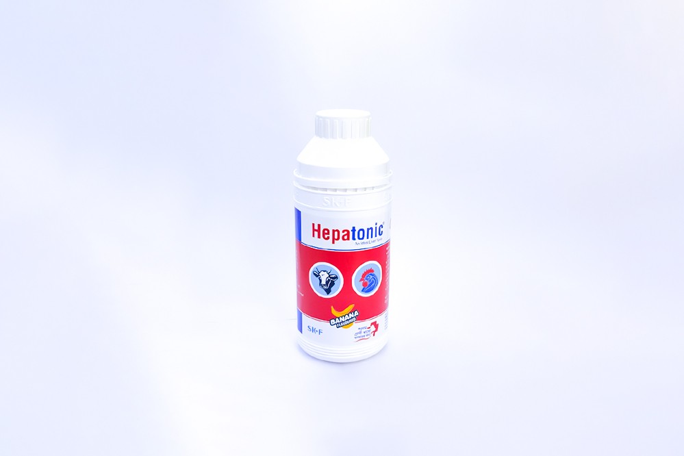 Picture of Livertonic 36