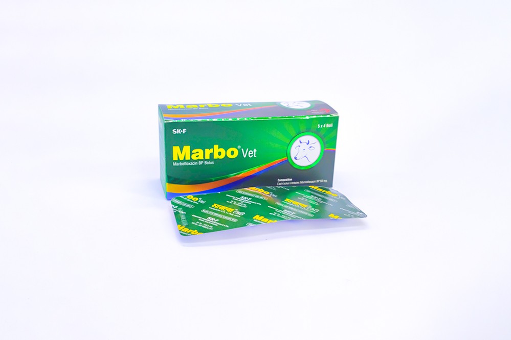 Picture of Antibiotics 176
